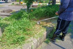 20230712_104140.jpg1_